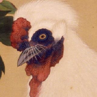 FLOWER & BIRD – 摘水軒記念文化振興財団・江戸絵画コレクション