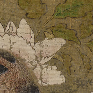 中村左洲　瓢箪と猫図 中村左洲 瓢箪と猫図 中村左洲 瓢箪と猫図 中村左