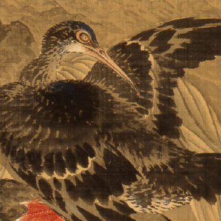 岡本秋暉 「十二か月花鳥図」-2 – 摘水軒記念文化振興財団・江戸絵画