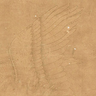曽我二直庵「雉に鷹図」 – 摘水軒記念文化振興財団・江戸絵画コレクション