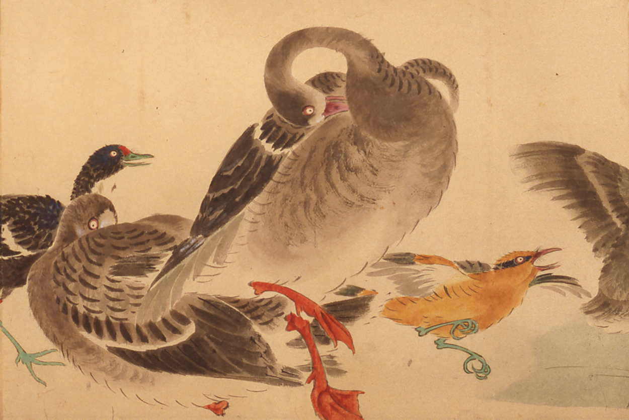 岡本秋暉「鳥絵手本」